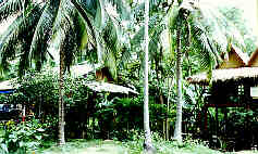 Bungalows in Exotic Garden  (10.0 K)