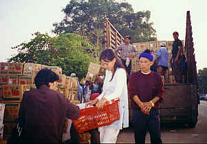 Apples from China, photo 3  (12.8 K)