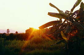 Sunset, Ban Doi Ngam, Chiang Saen, Chiang Rai  (6.7 K)